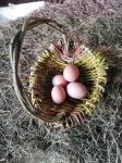 Foraging Basket