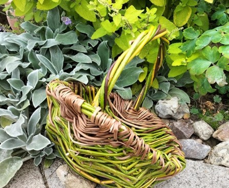 Foraging Basket